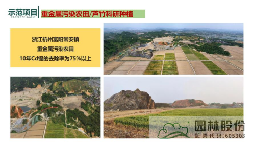 彩运网(中国游)官方网站