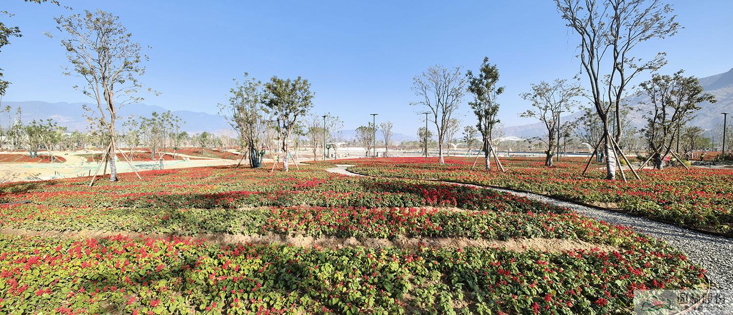 彩运网(中国游)官方网站