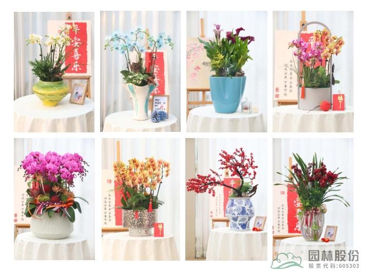 彩运网(中国游)官方网站