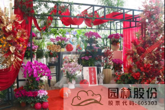 彩运网(中国游)官方网站