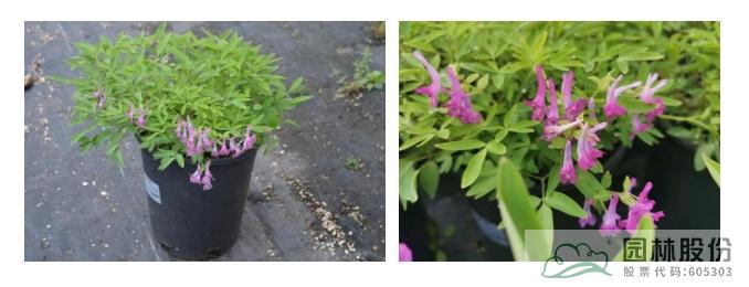 彩运网(中国游)官方网站