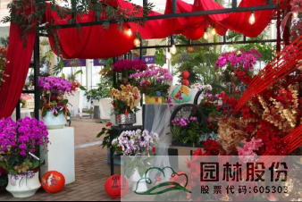 彩运网(中国游)官方网站