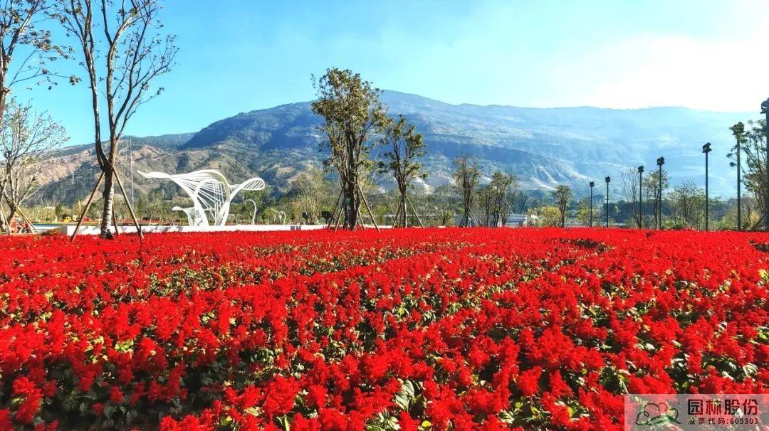 彩运网(中国游)官方网站