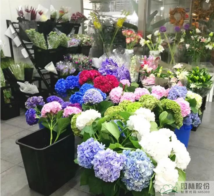 彩运网(中国游)官方网站