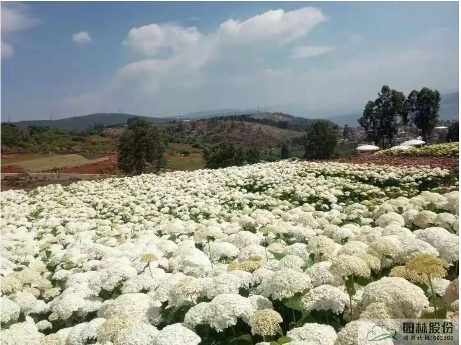 彩运网(中国游)官方网站