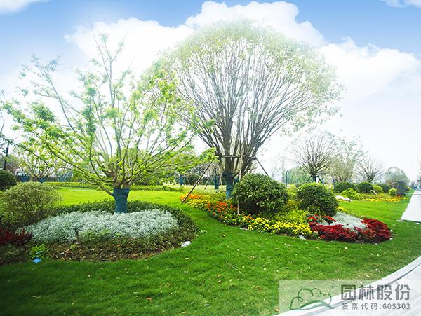 彩运网(中国游)官方网站