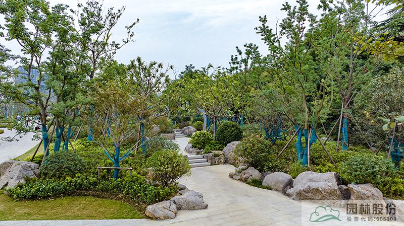 彩运网(中国游)官方网站