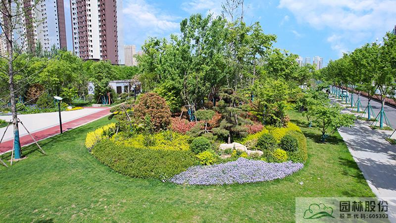 彩运网(中国游)官方网站