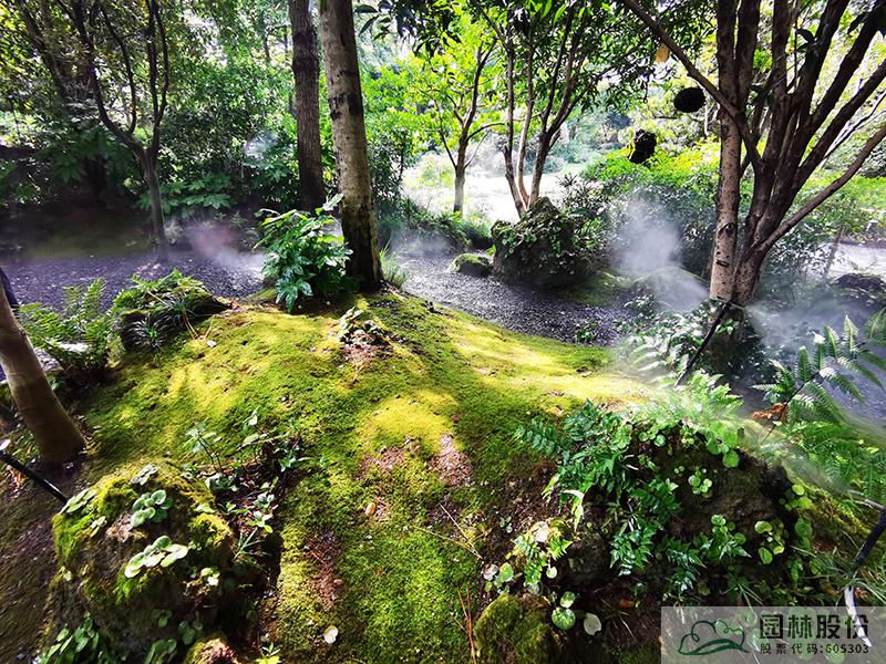 彩运网(中国游)官方网站