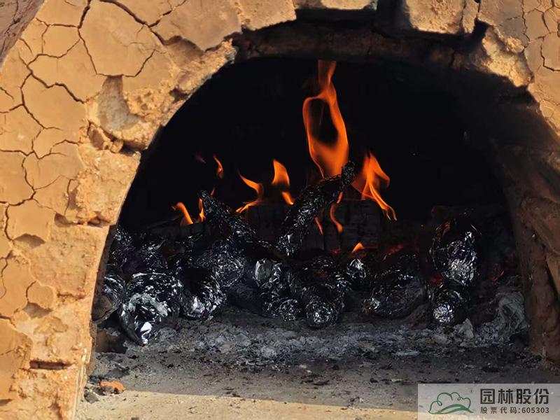 彩运网(中国游)官方网站