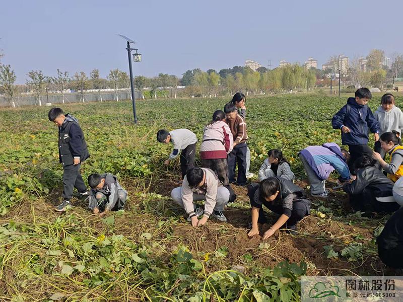 彩运网(中国游)官方网站