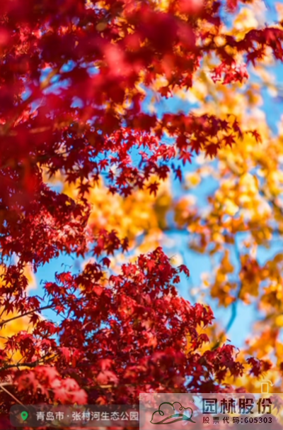 彩运网(中国游)官方网站