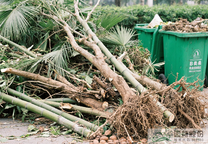 彩运网(中国游)官方网站