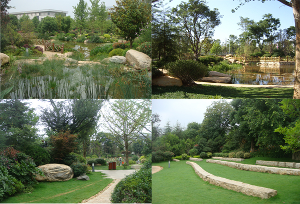 彩运网(中国游)官方网站