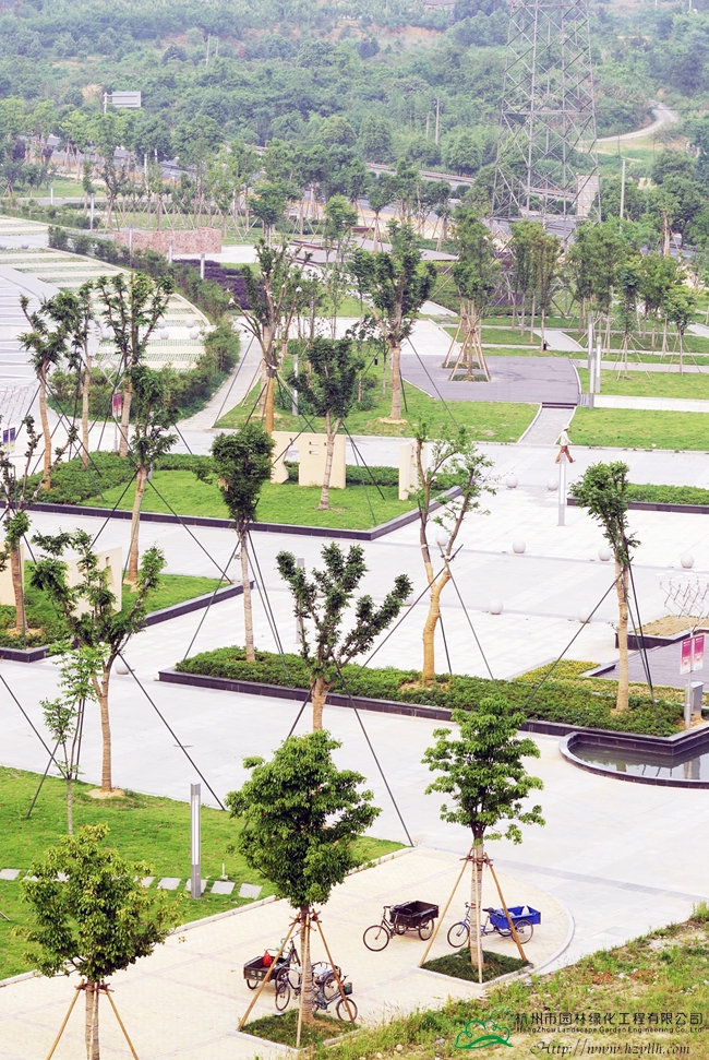 彩运网(中国游)官方网站