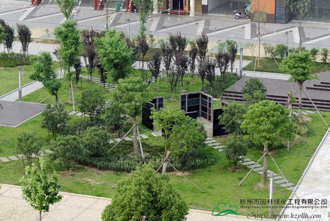 彩运网(中国游)官方网站