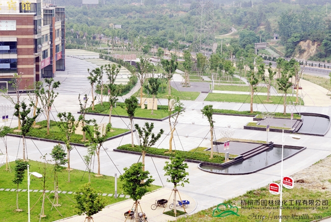 彩运网(中国游)官方网站