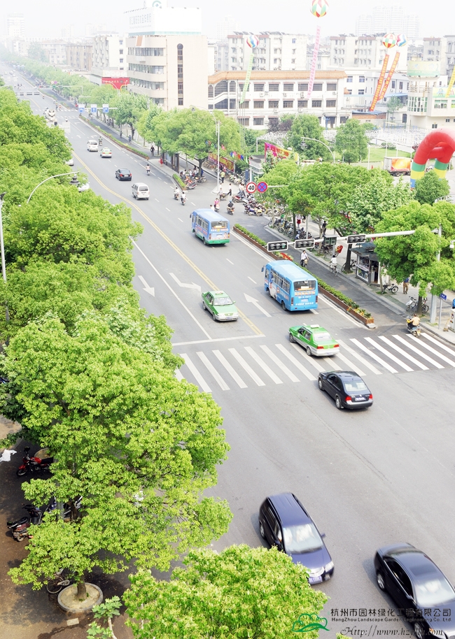 彩运网(中国游)官方网站