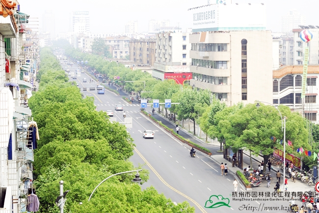 彩运网(中国游)官方网站