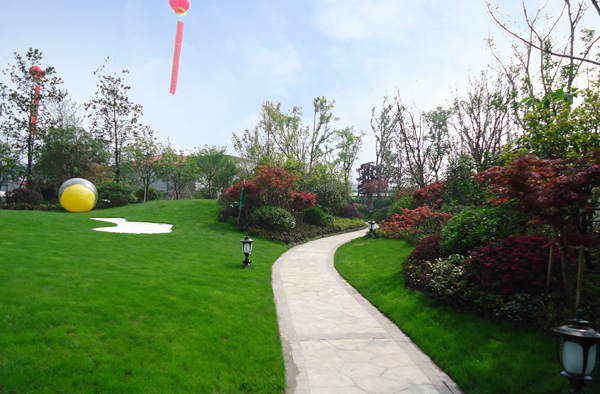 彩运网(中国游)官方网站