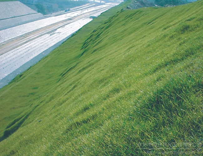 彩运网(中国游)官方网站