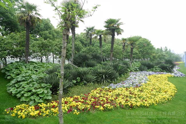 彩运网(中国游)官方网站