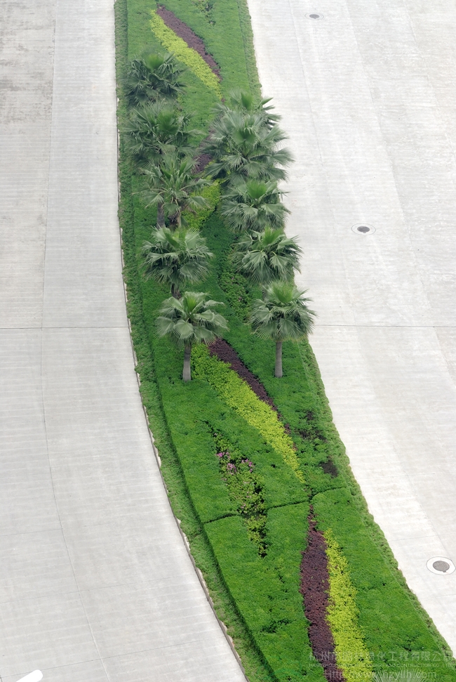 彩运网(中国游)官方网站