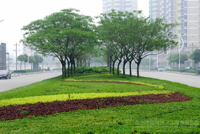 彩运网(中国游)官方网站