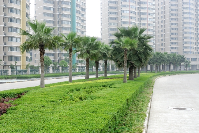 彩运网(中国游)官方网站