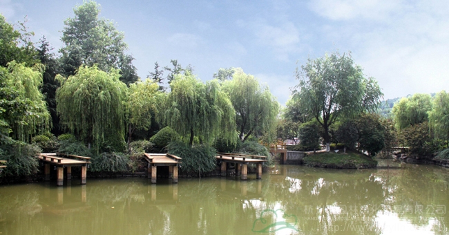 彩运网(中国游)官方网站