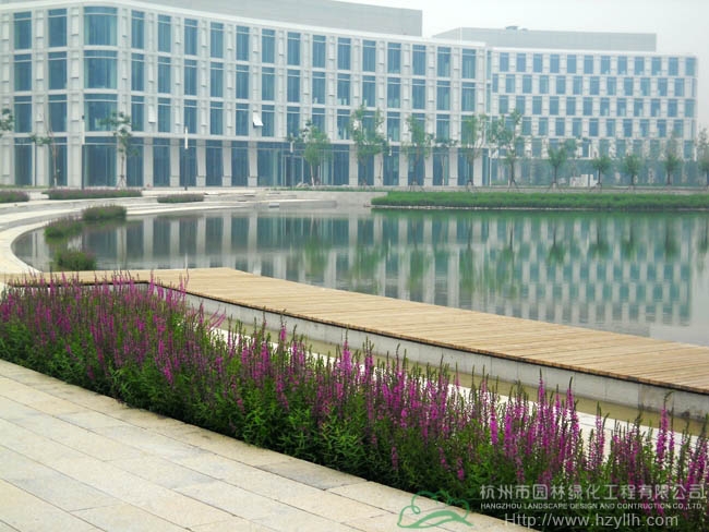 彩运网(中国游)官方网站