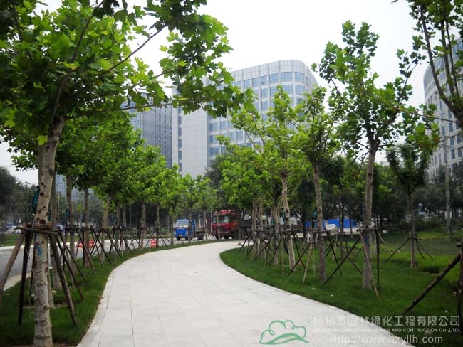 彩运网(中国游)官方网站