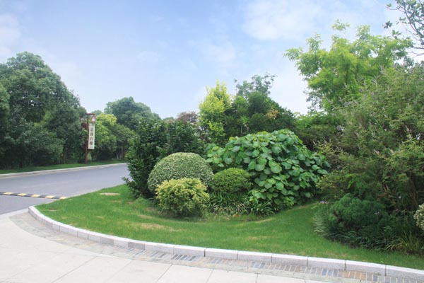 彩运网(中国游)官方网站