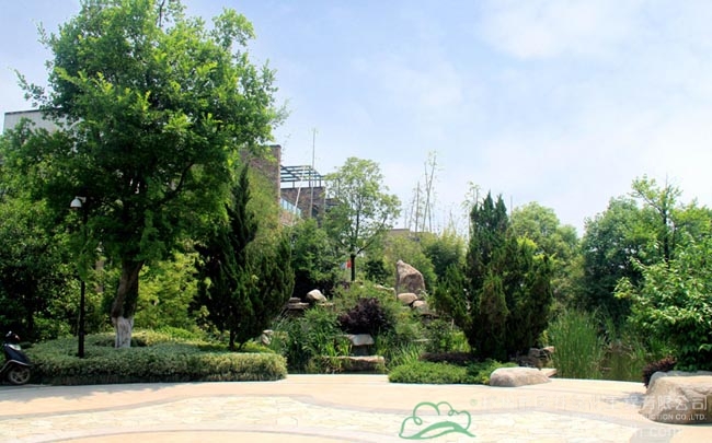 彩运网(中国游)官方网站