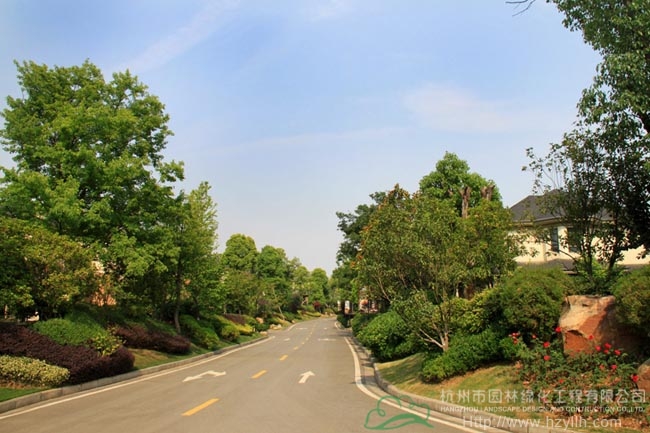 彩运网(中国游)官方网站