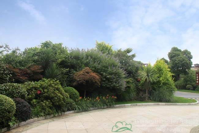 彩运网(中国游)官方网站