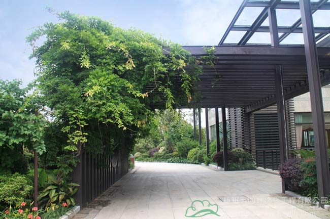 彩运网(中国游)官方网站