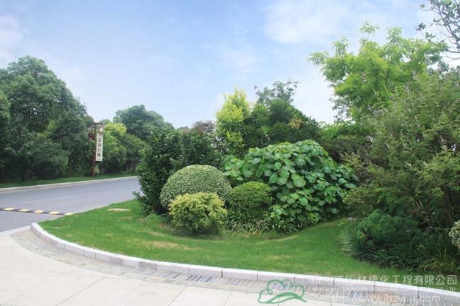 彩运网(中国游)官方网站