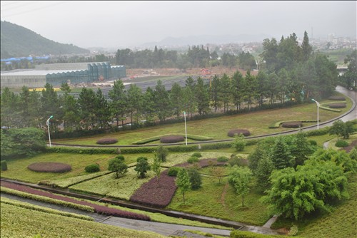 彩运网(中国游)官方网站