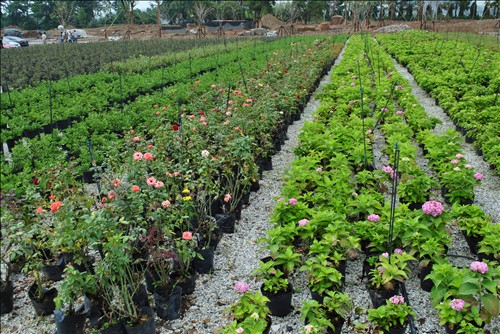 彩运网(中国游)官方网站