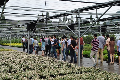 彩运网(中国游)官方网站