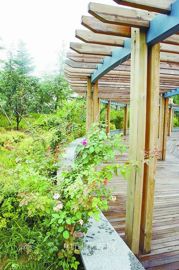 彩运网(中国游)官方网站