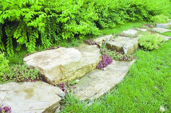 彩运网(中国游)官方网站