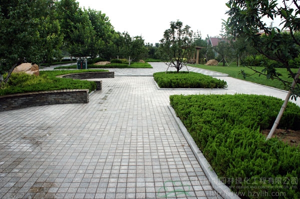 彩运网(中国游)官方网站