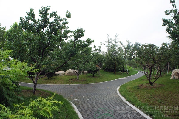 彩运网(中国游)官方网站