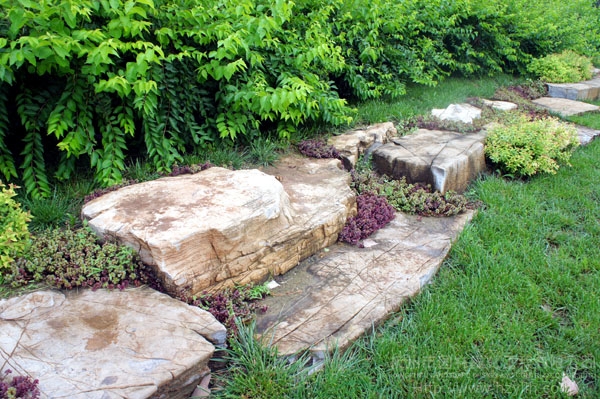 彩运网(中国游)官方网站