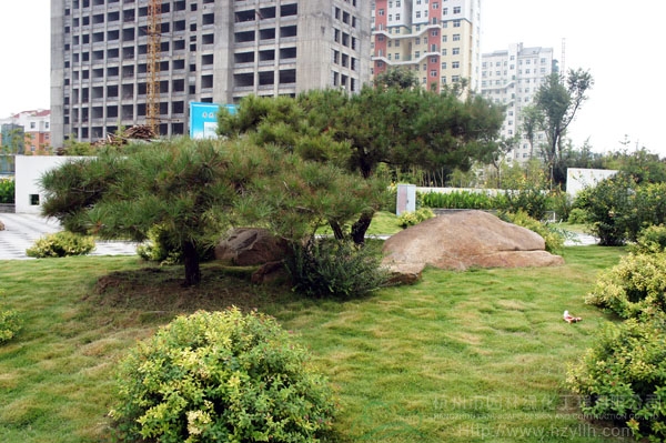 彩运网(中国游)官方网站