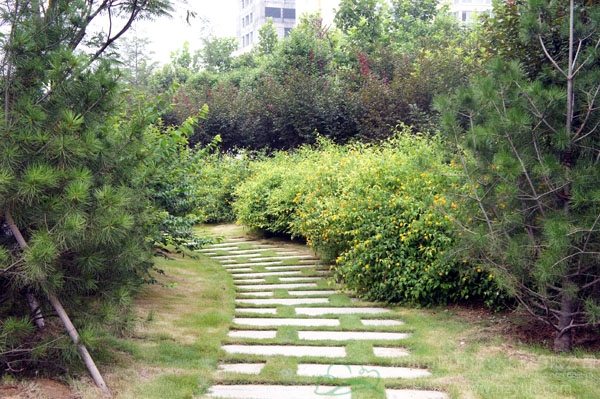 彩运网(中国游)官方网站