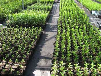 彩运网(中国游)官方网站