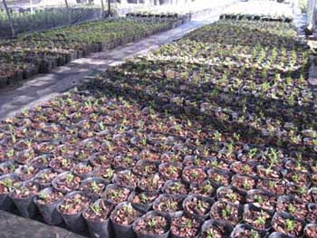 彩运网(中国游)官方网站